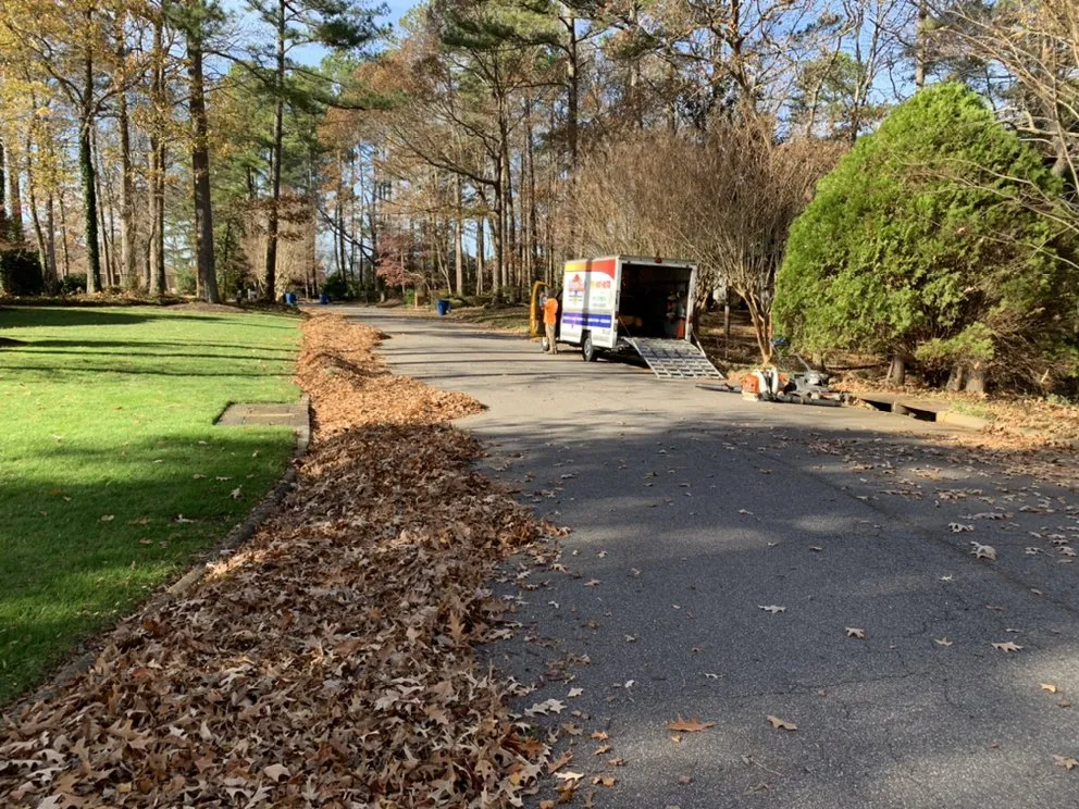 Top-rated landscape design in Chesapeake, VA by Budget Cuts