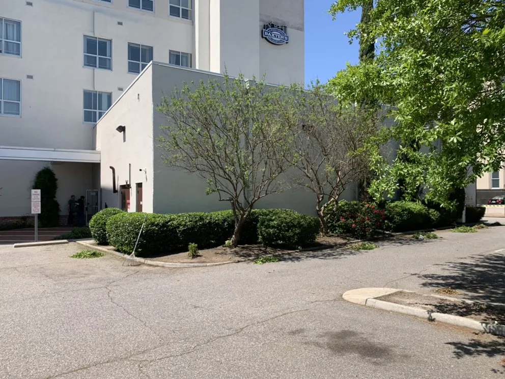 Local residential landscaping for year-round maintenance across Chesapeake, VA - Budget Cuts