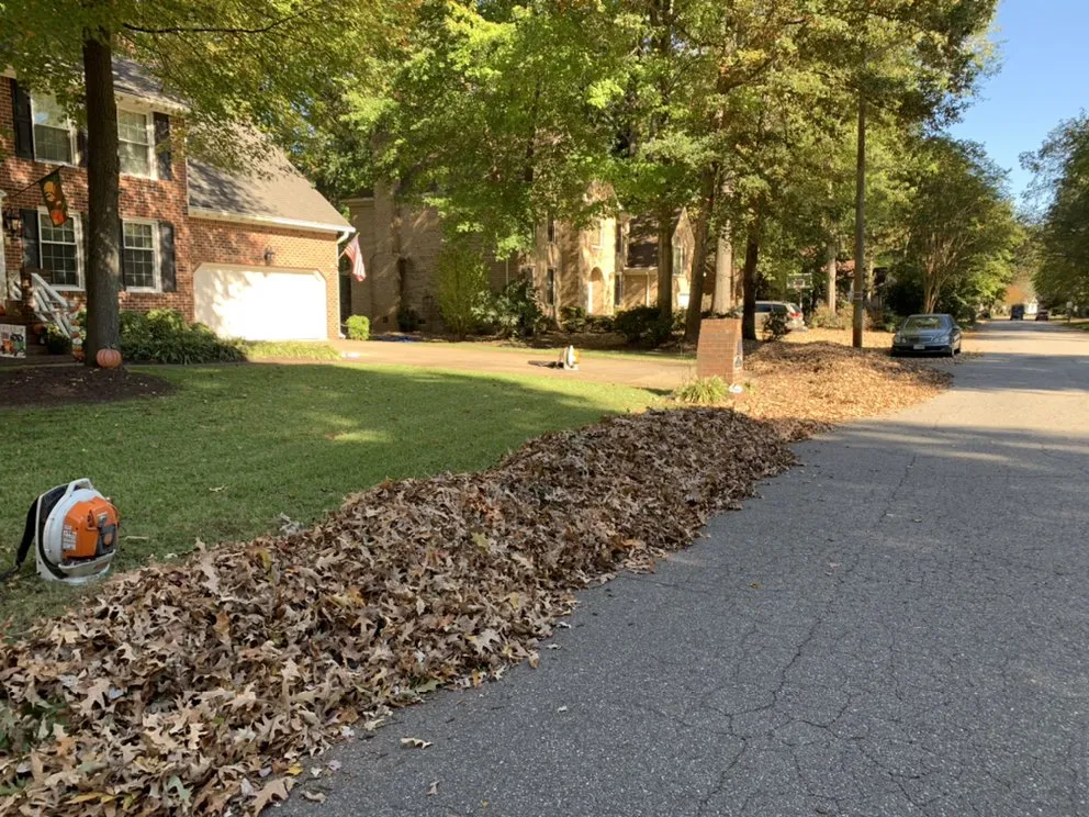 Reliable lawn care service experts serving Chesapeake, VA - Budget Cuts