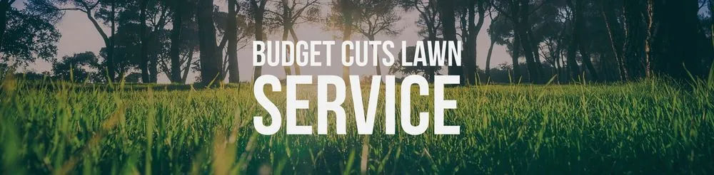 Trusted lawn care service experts serving Syracuse, NY - Budget Cuts Lawn Service