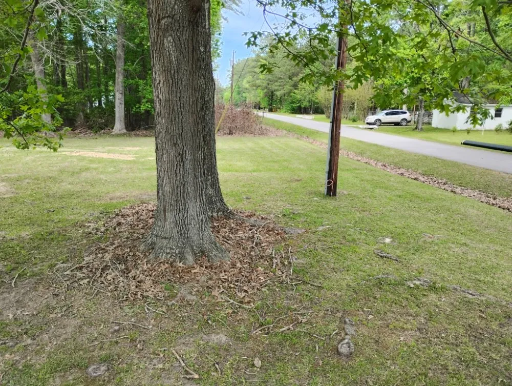 Affordable lawn mowing service experts serving Hertford, NC - Budget Cutz Mowing and Repairs