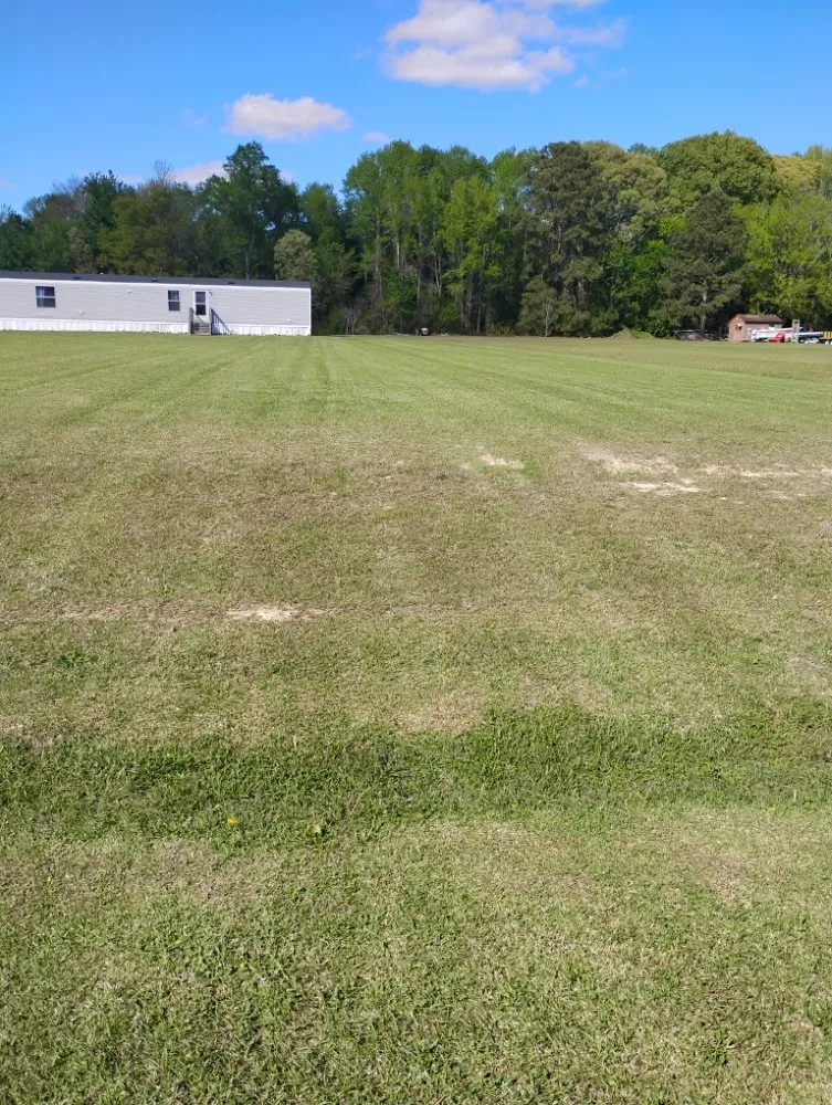 Reliable landscaping services in Hertford, NC - Budget Cutz Mowing and Repairs