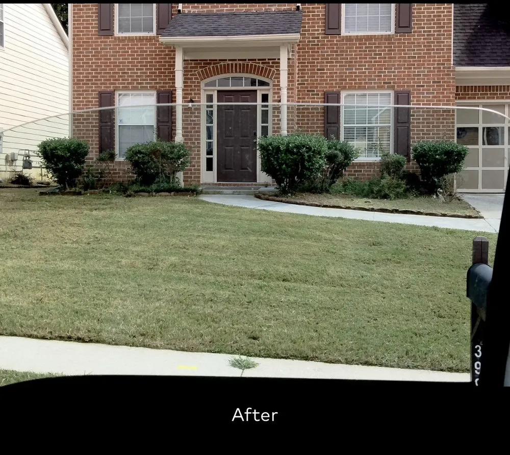 Top-rated yard cleanup service for homes in Gastonia, NC by Budget-Frendly Lawn Service