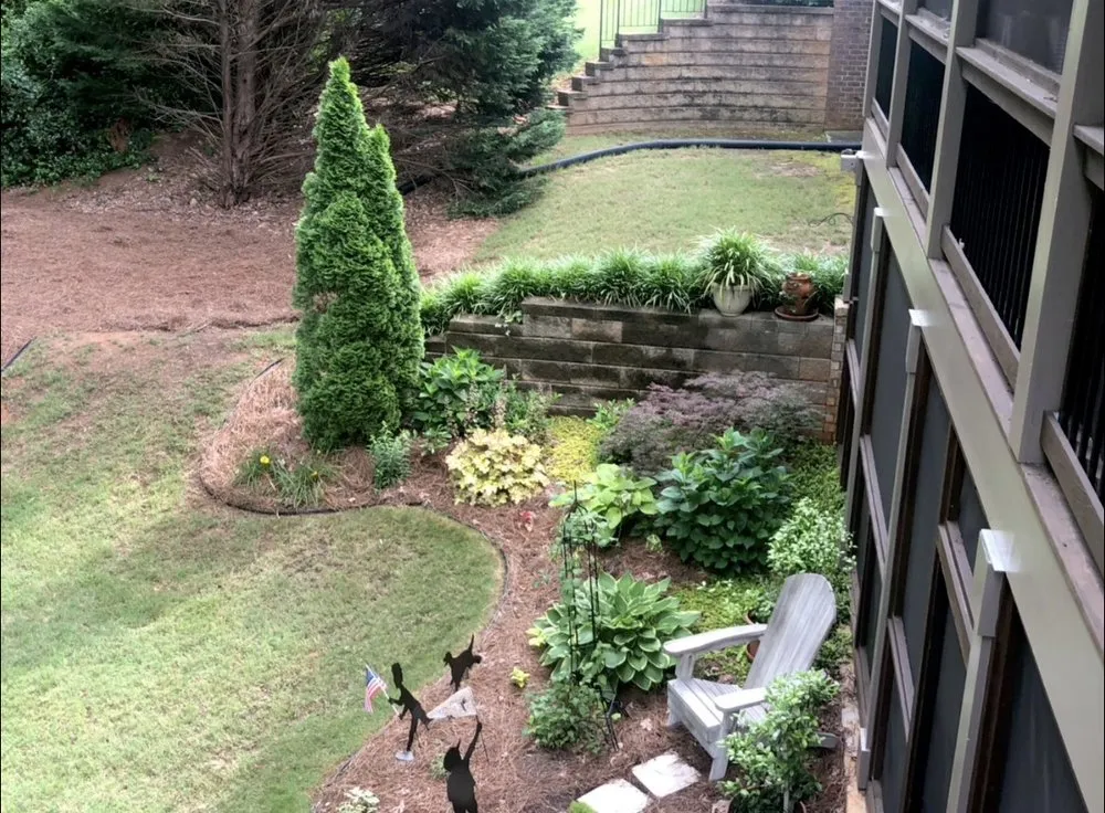 Top-rated lawn care service experts serving Gastonia, NC - Budget-Frendly Lawn Service