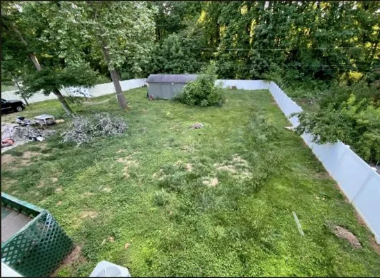 Budget-Frendly Lawn Service