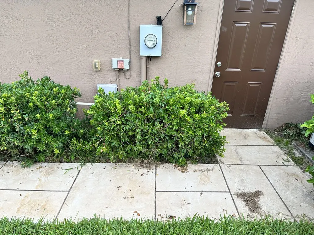 Trusted yard maintenance for residential properties across Ocala, FL - Budget Friendly Landscaping & Pressure washing