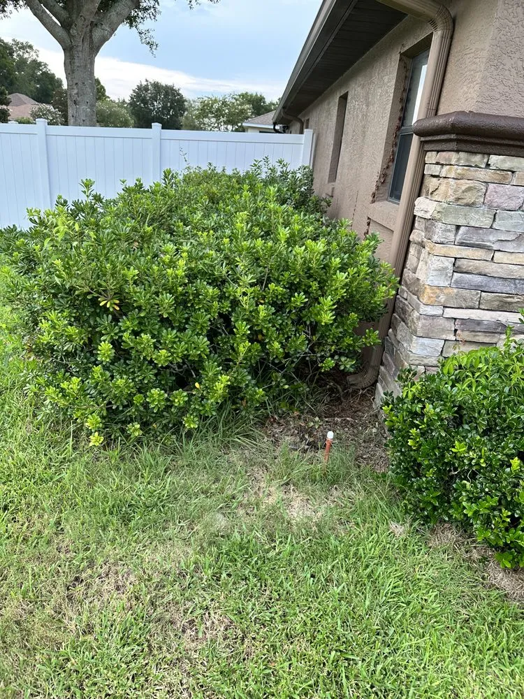 Reliable outdoor landscaping for year-round maintenance in Ocala, FL by Budget Friendly Landscaping & Pressure washing