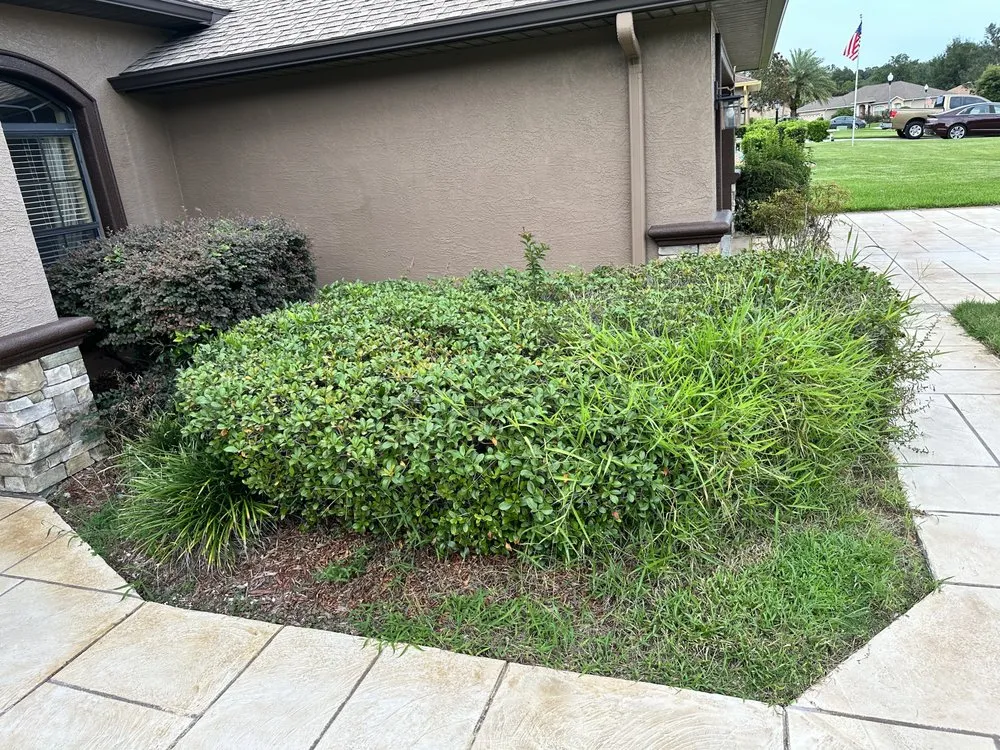 Reliable lawn mowing service experts serving Ocala, FL - Budget Friendly Landscaping & Pressure washing