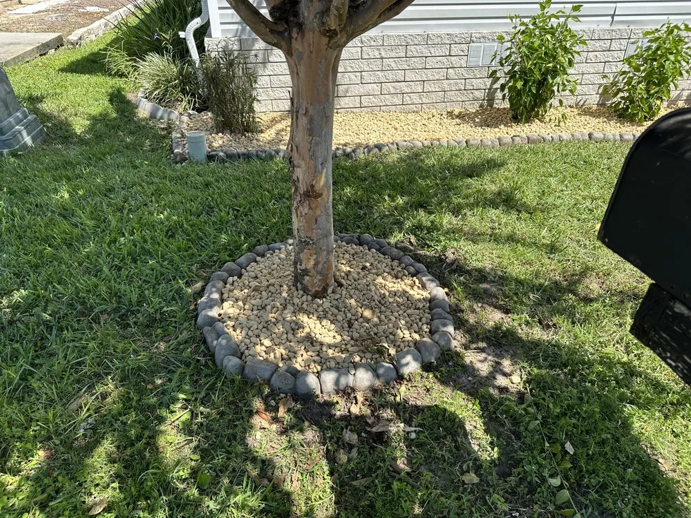 Reliable landscape installation near you in Ocala, FL by Budget Friendly Landscaping & Pressure washing