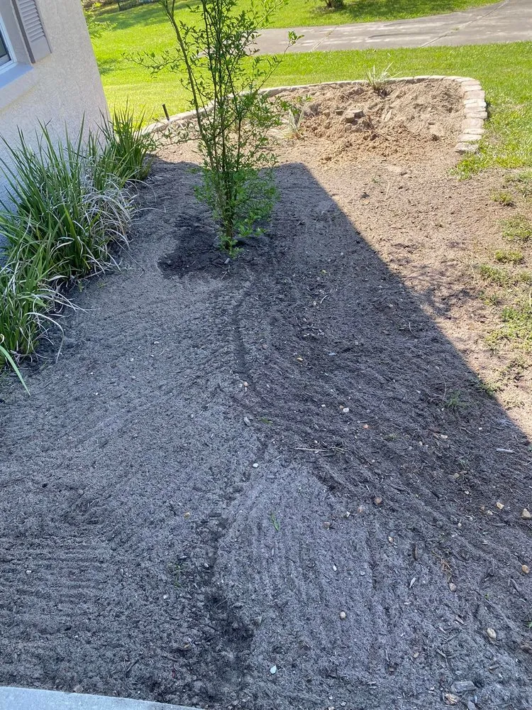 Expert landscape design in Ocala, FL - Budget Friendly Landscaping & Pressure washing