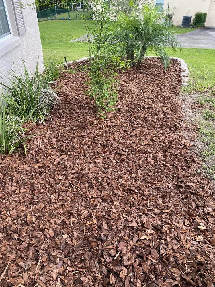 Top-rated residential landscaping for beautiful yards in Ocala, FL by Budget Friendly Landscaping & Pressure washing