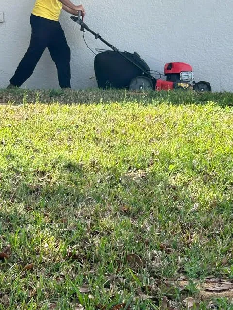 Trusted outdoor landscaping near you in Clermont, FL by Budget Friendly Mowers & More