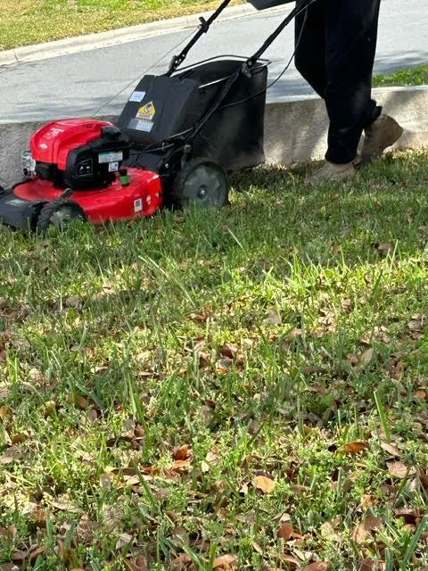 Trusted garden landscaping experts serving Clermont, FL - Budget Friendly Mowers & More