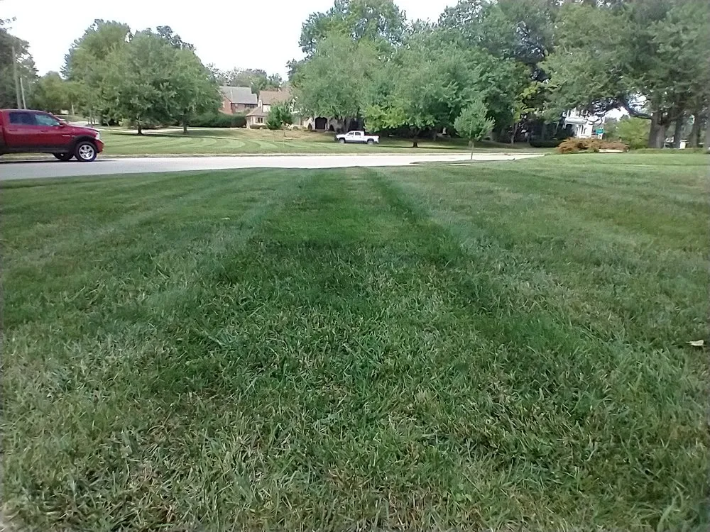 Expert residential landscaping with custom design in Quincy, IL by Budget Home & Lawn Care