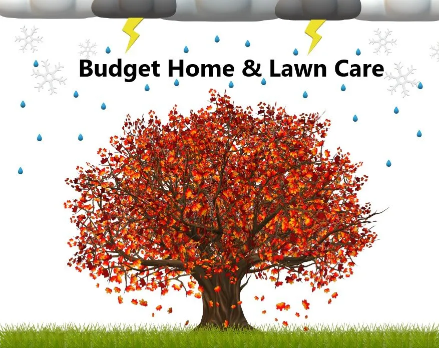 Expert residential landscaping in Quincy, IL by Budget Home & Lawn Care