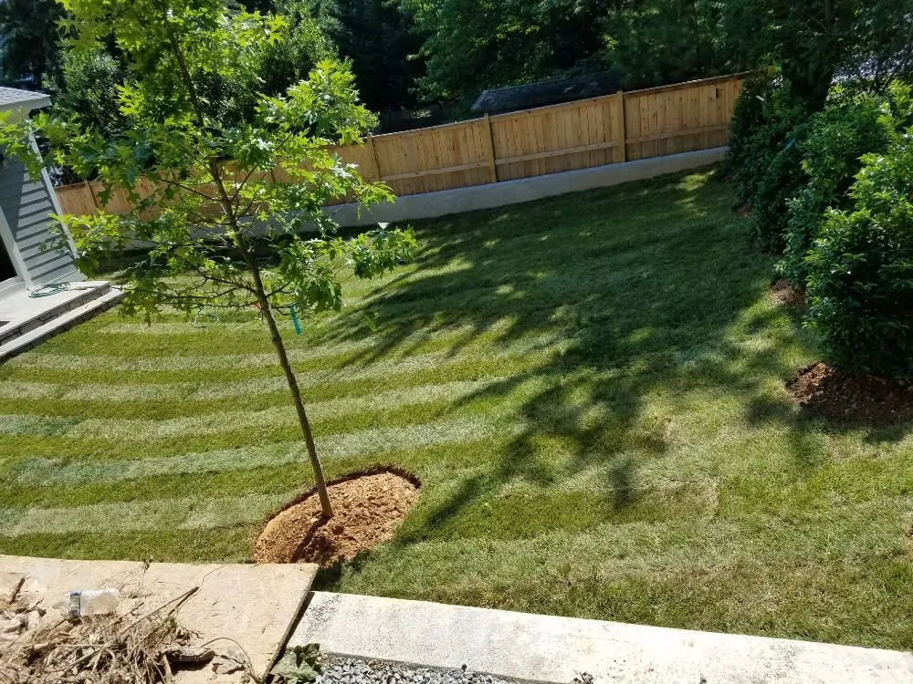 Trusted lawn care service for year-round maintenance in Silver Spring, MD by Budget Landscape Construction