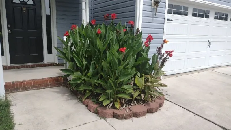 Expert lawn care service for homes across High Point, NC - Budget Landscape