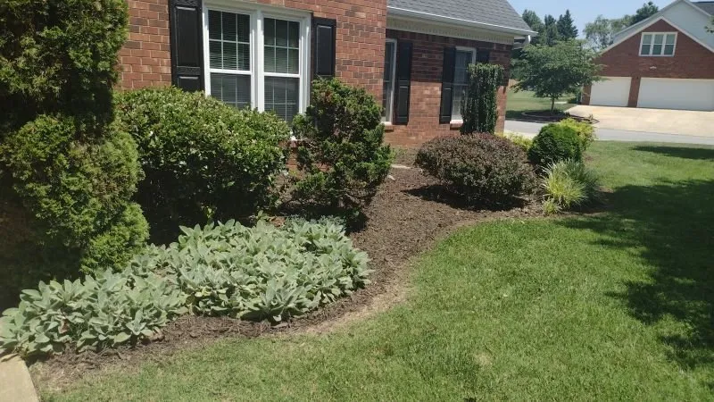 Reliable landscape installation for beautiful yards across High Point, NC - Budget Landscape