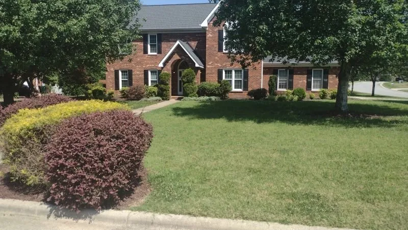 Top-rated landscaping services near you in High Point, NC by Budget Landscape