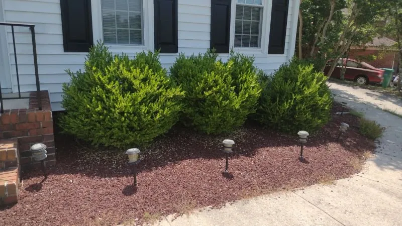 Expert yard cleanup service for beautiful yards across High Point, NC - Budget Landscape