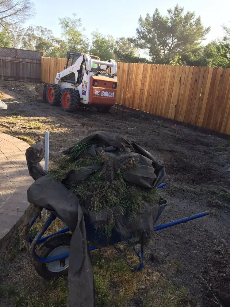 Professional outdoor landscaping in Windsor, CA by Budget Landscape Maintenance