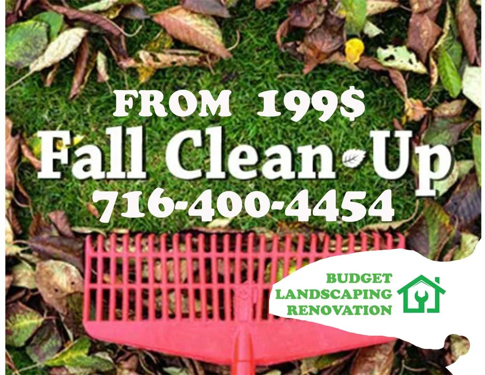 Trusted yard maintenance in Tonawanda, NY by Budget landscaping & Renovation