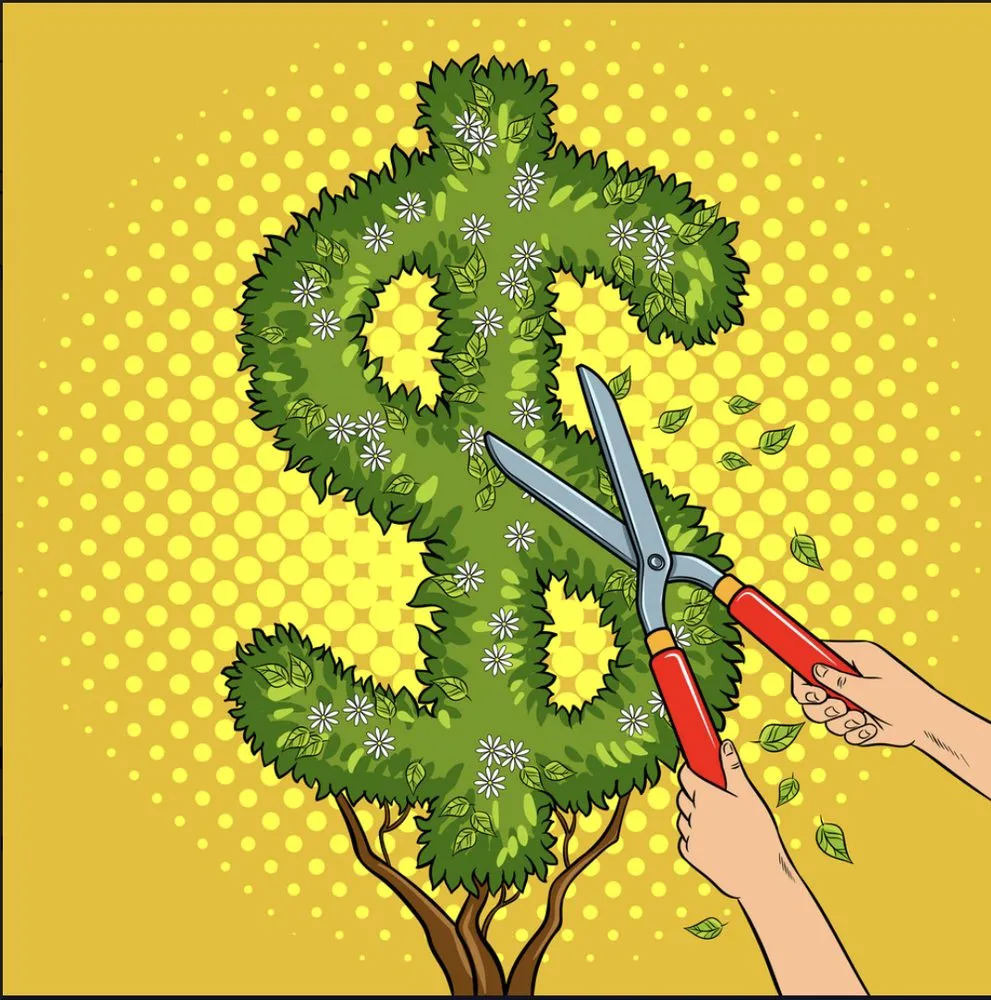 Custom lawn care service for outdoor upgrades across New Haven, IN - Budget Landscaping