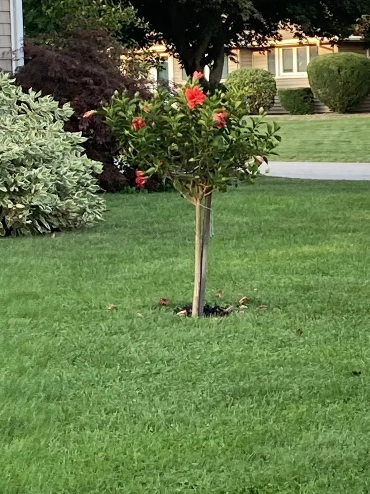 Top-rated residential landscaping for beautiful yards across Warwick, RI - Budget Landscaping