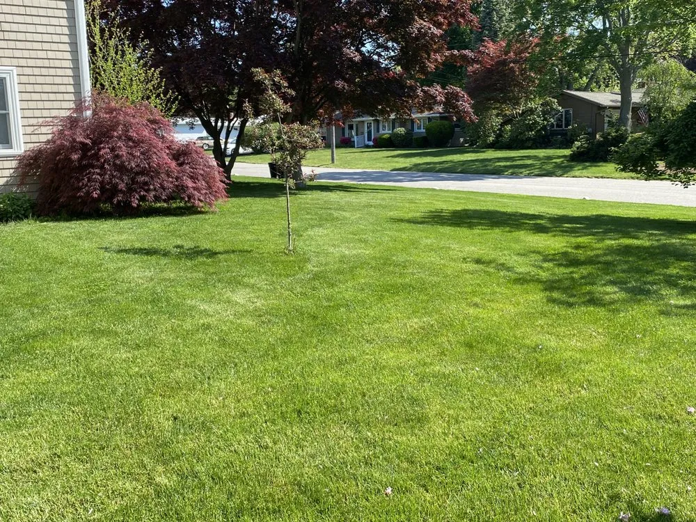 Affordable garden landscaping in Warwick, RI by Budget Landscaping