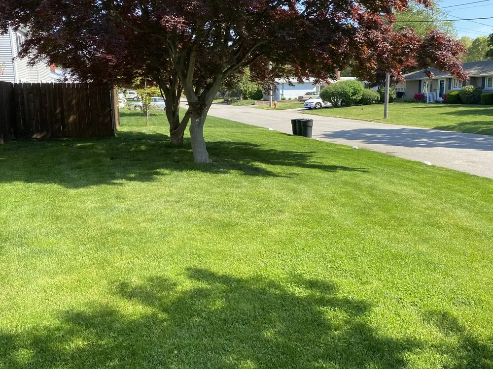 Affordable yard maintenance in Warwick, RI by Budget Landscaping