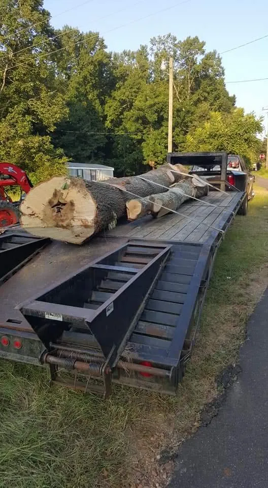Expert residential landscaping in Washington, MS by Budget Lawn and Land Care