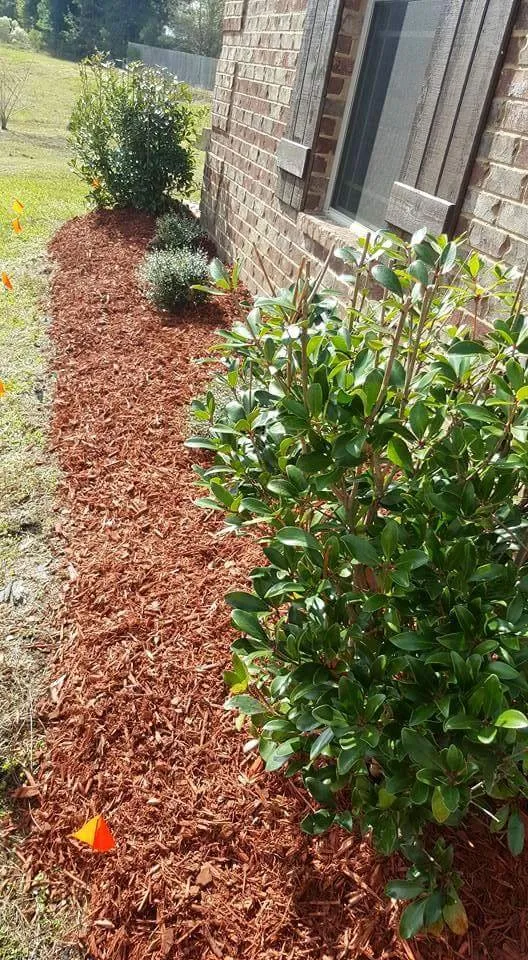 Reliable landscaping services for beautiful yards in Washington, MS by Budget Lawn and Land Care