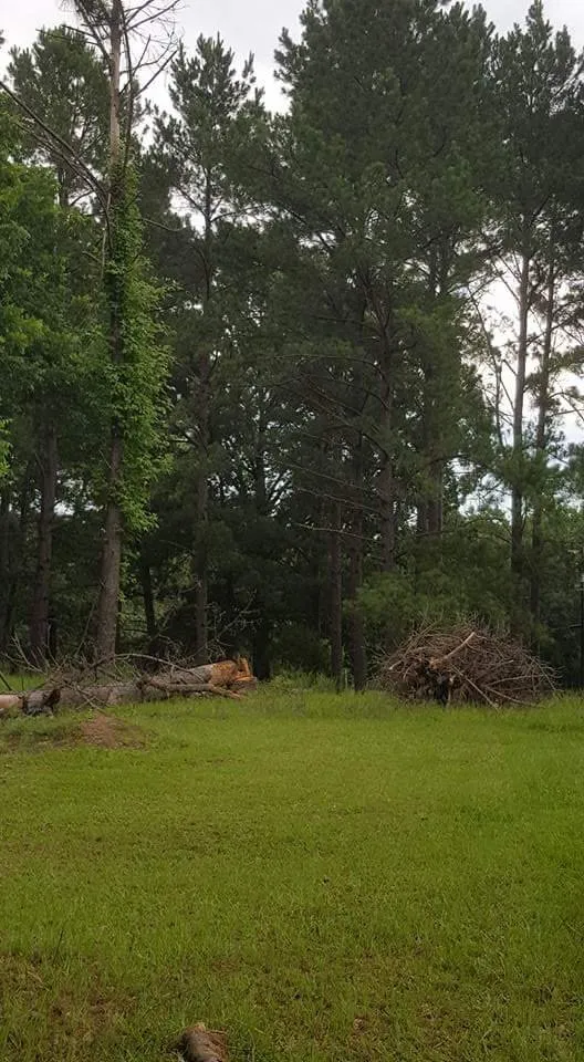 Custom landscape installation experts serving Washington, MS - Budget Lawn and Land Care