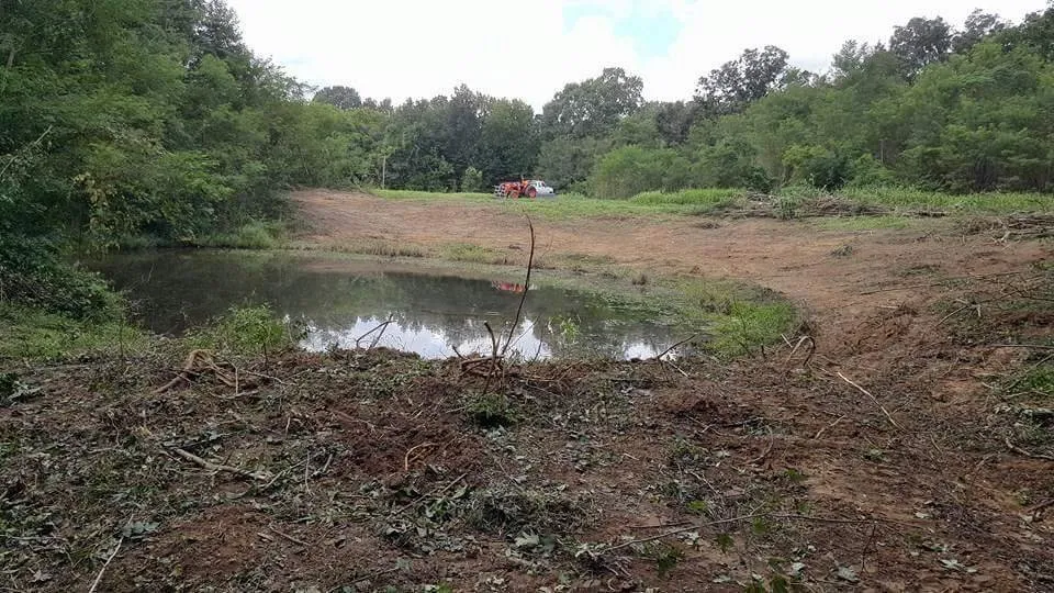 Local landscape installation experts serving Washington, MS - Budget Lawn and Land Care