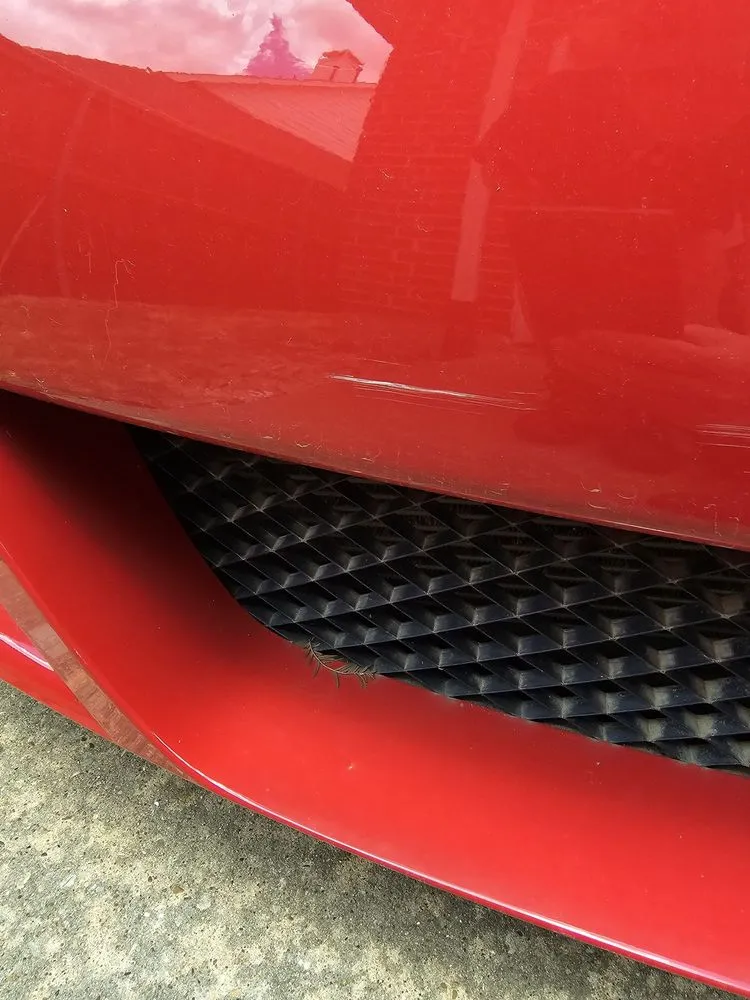 Professional outdoor landscaping experts serving Plano, TX - Budget Lawn Care