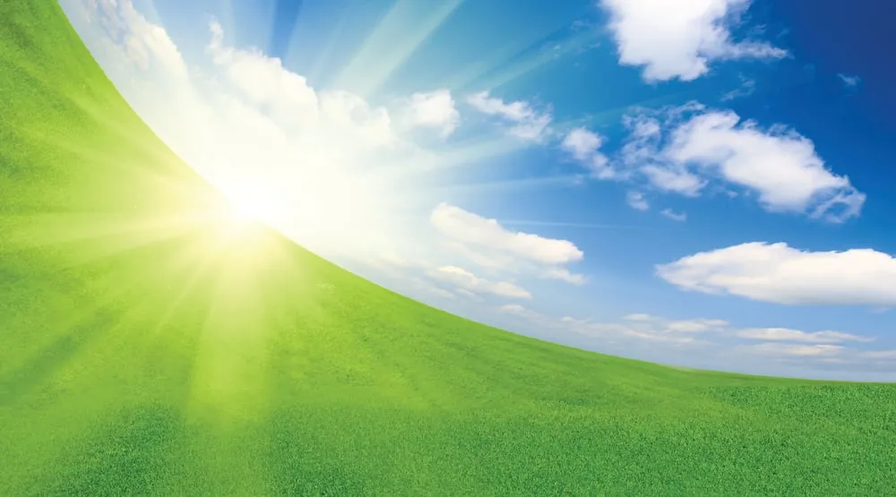 Local garden landscaping in Plano, TX - Budget Lawn Care