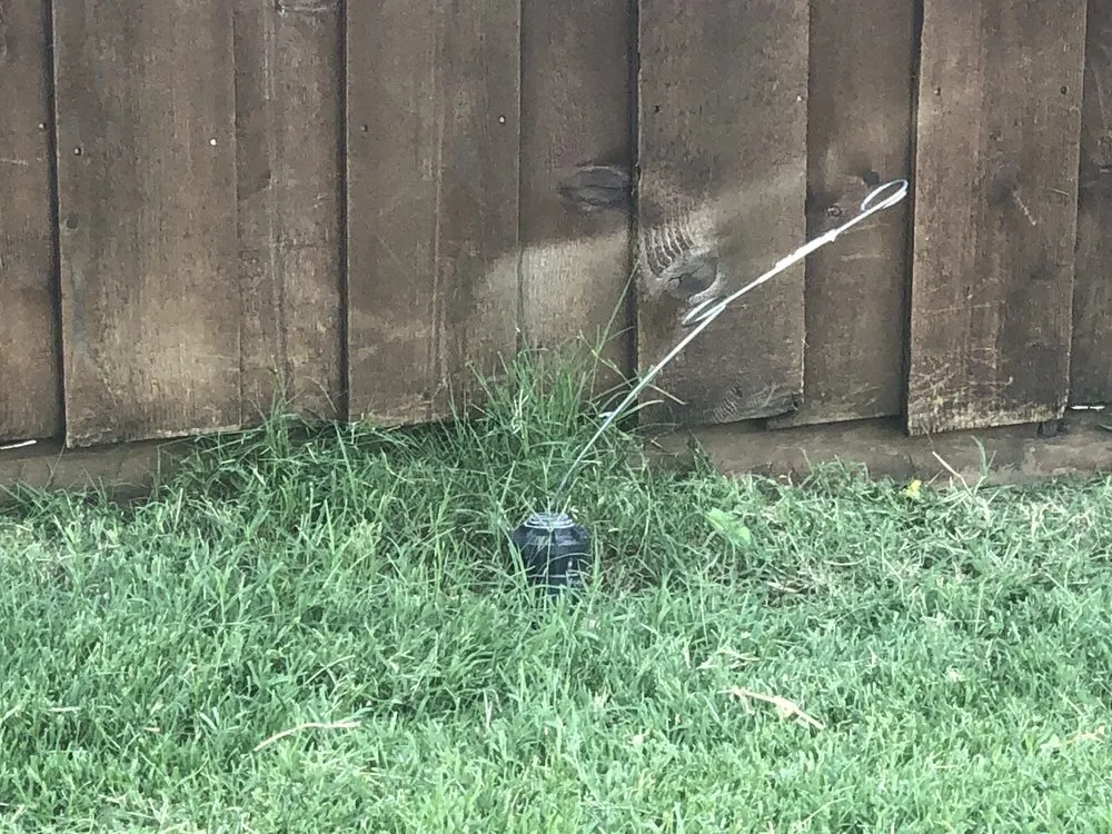 Trusted residential landscaping in Plano, TX - Budget Lawn Care