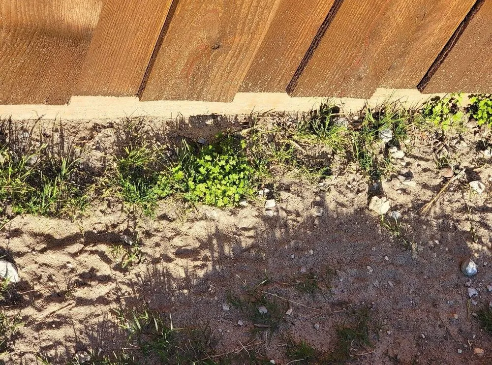 Expert outdoor landscaping for outdoor upgrades in Plano, TX by Budget Lawn Care