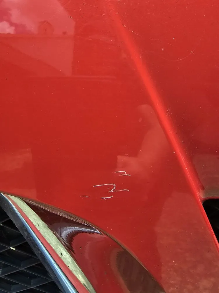 Top-rated garden landscaping for outdoor upgrades in Plano, TX by Budget Lawn Care