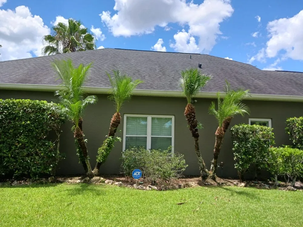 Expert outdoor landscaping in Orlando, FL - Budget lawn care property