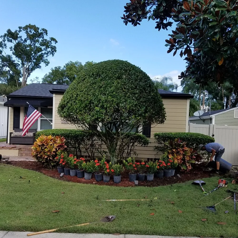 Top-rated lawn mowing service for homes across Orlando, FL - Budget lawn care property