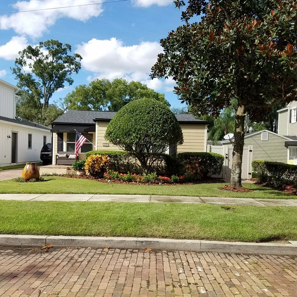 Affordable yard cleanup service in Orlando, FL by Budget lawn care property