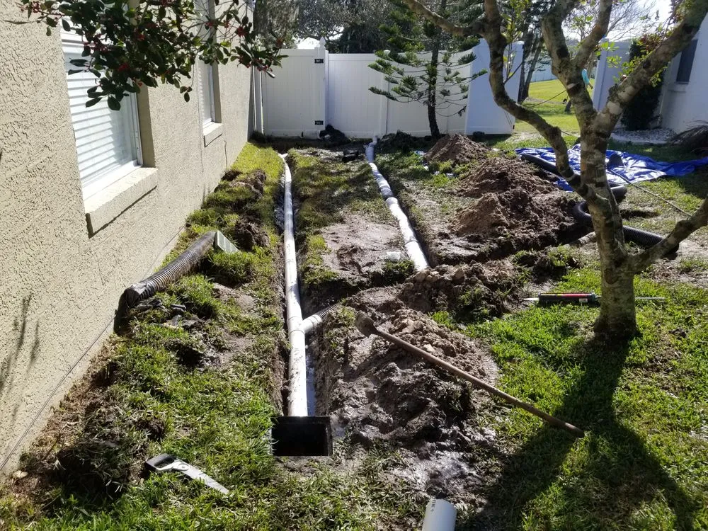 Custom yard cleanup service in Orlando, FL - Budget lawn care property