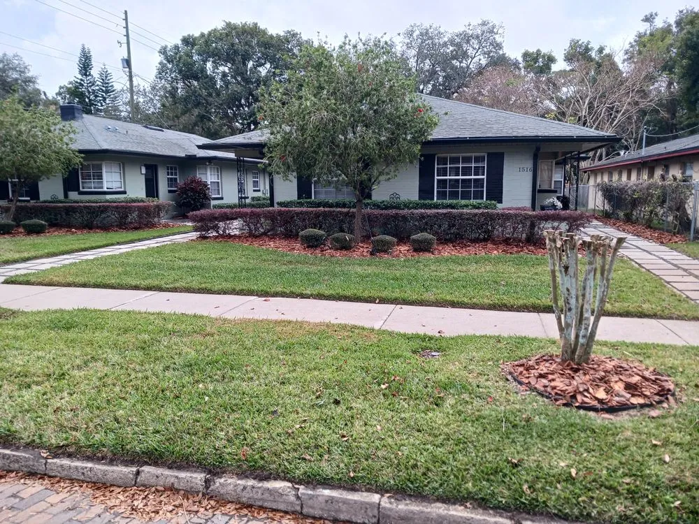 Expert yard cleanup service with custom design in Orlando, FL by Budget lawn care property