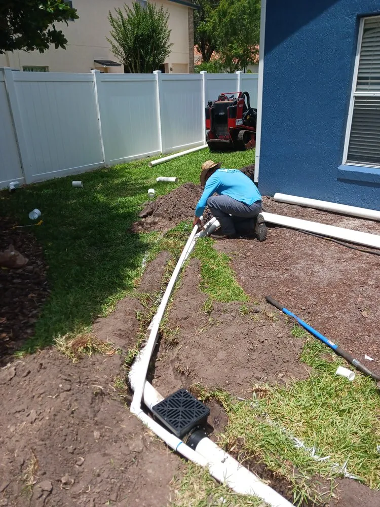 Professional yard maintenance in Orlando, FL - Budget lawn care property