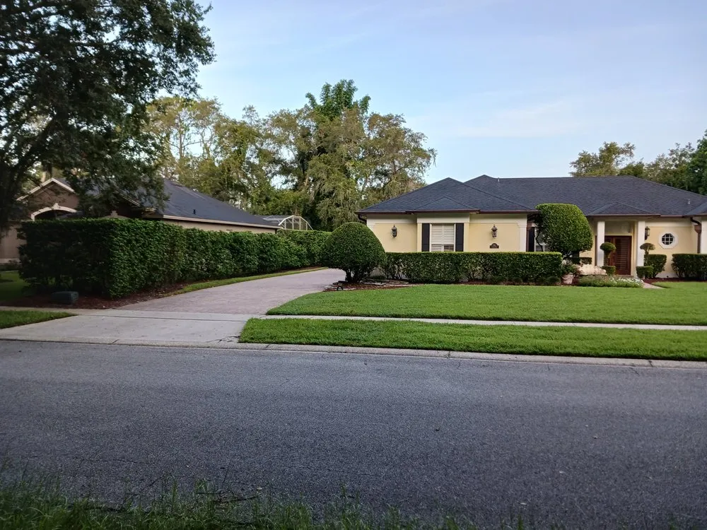 Top-rated lawn mowing service in Orlando, FL by Budget lawn care property