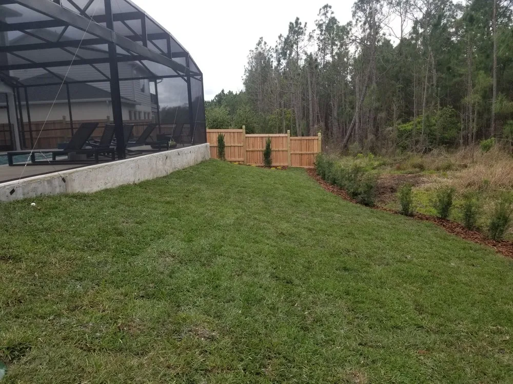 Professional yard cleanup service in Orlando, FL by Budget lawn care property