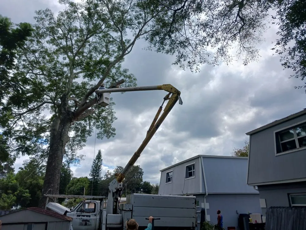 Local lawn mowing service in Orlando, FL - Budget lawn care property