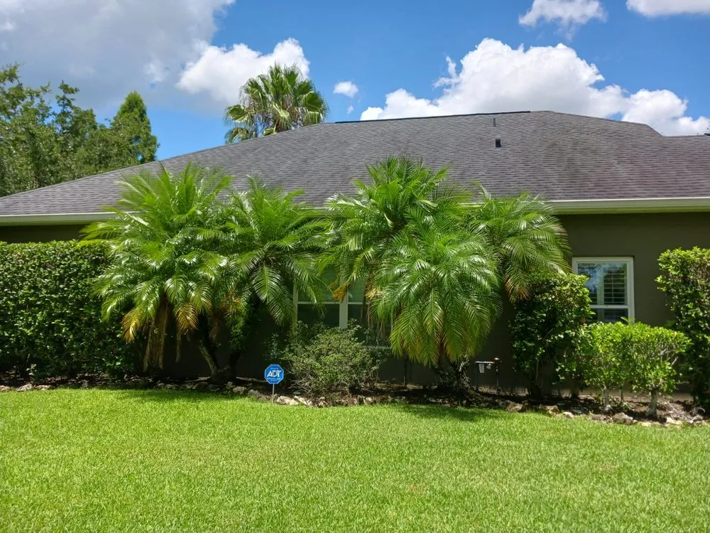 Custom landscape design in Orlando, FL by Budget lawn care property