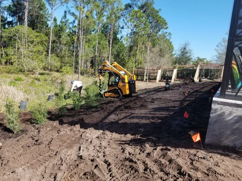 Expert lawn care service in Orlando, FL - Budget lawn care property